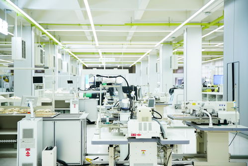 高質(zhì)量發(fā)展看中國 民營企業(yè)煥新賦能，金融與技術(shù)咨詢共筑溫暖力量