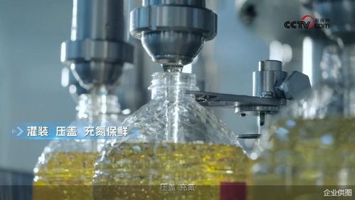央視網(wǎng)探訪(fǎng)多力安心工廠(chǎng) 揭秘降低油煙技術(shù)專(zhuān)利背后的創(chuàng)新奧秘